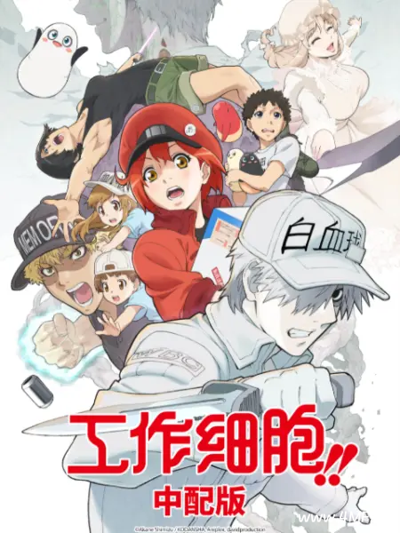 动画片 工作细胞 第二季（中配版）