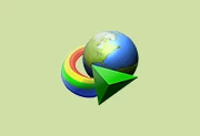 IDM下载利器 Internet Download Manager v6.42.50 中文绿色特别版