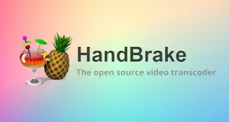 HandBrake (视频转码工具) 中文绿色版 v1.10.2