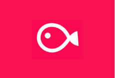 VLLO v12.13.6 解锁付费版全能剪辑工具｜视频编辑器